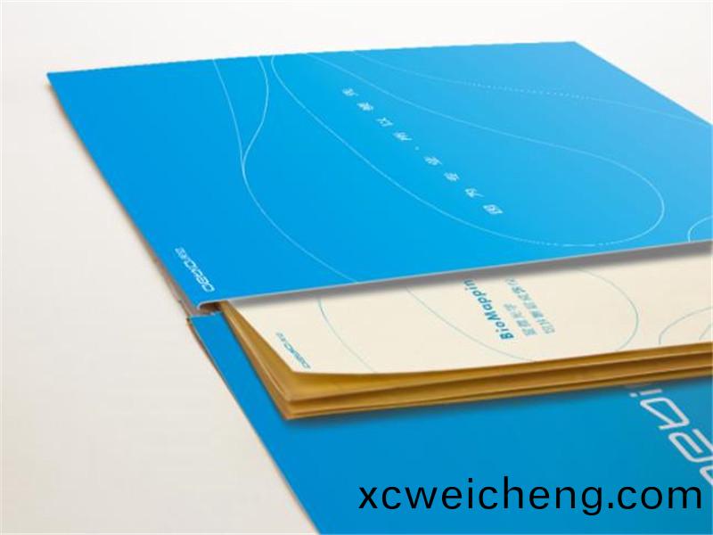 宣(xuan)傳(chuan)冊(cè)(ce)封套(tao)